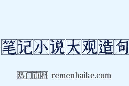 笔记小说大观造句是什么意思的图片